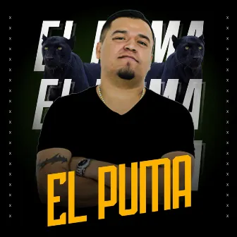 El Puma by El Compa Shikis