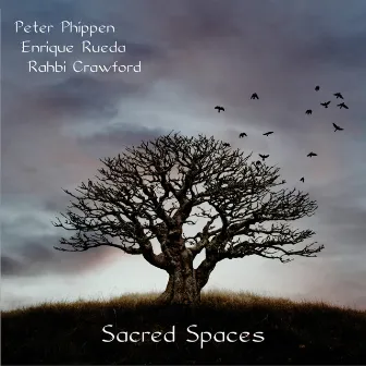 Sacred Spaces by Peter Phippen