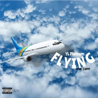 Flying by YL Platinum