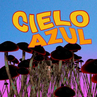 Cieloazul by Cieloazul