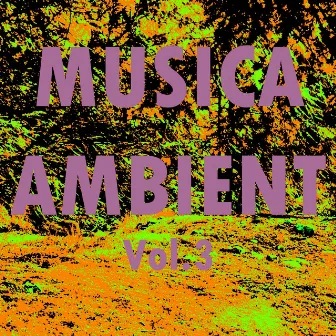 Musica ambient, vol. 3 by Unknown Artist