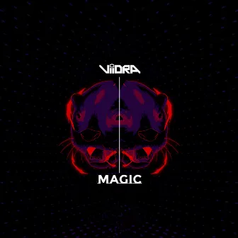 Magic by Viidra