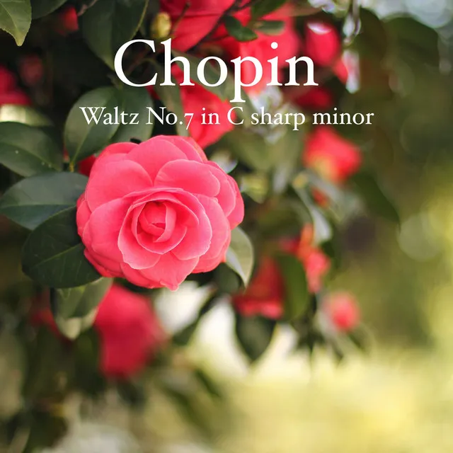 Chopin Waltz in C-sharp minor Op.64 No.2