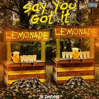 Say You Got It by Tk DaCyph