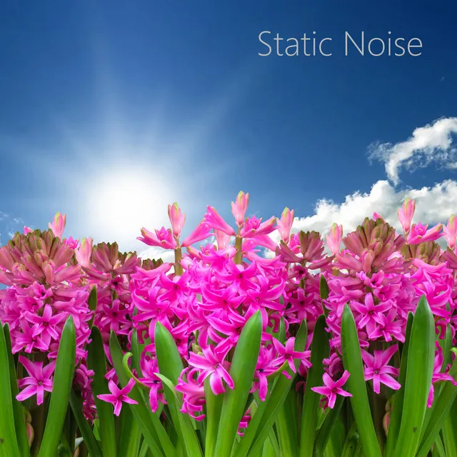 Static White Noise Sounds