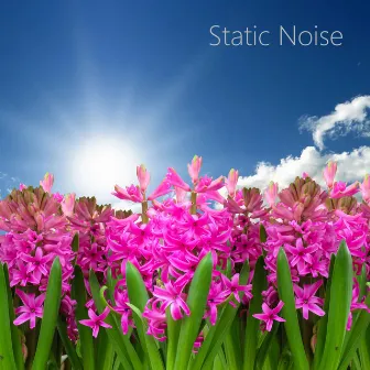 Static TV Sounds for Sleep by Static White Noise Sounds