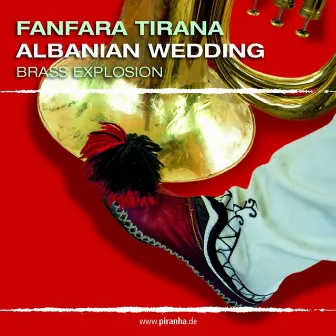 Albanian Wedding by Fanfara Tirana