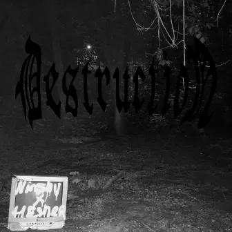 DESTRUCTION by HESHER