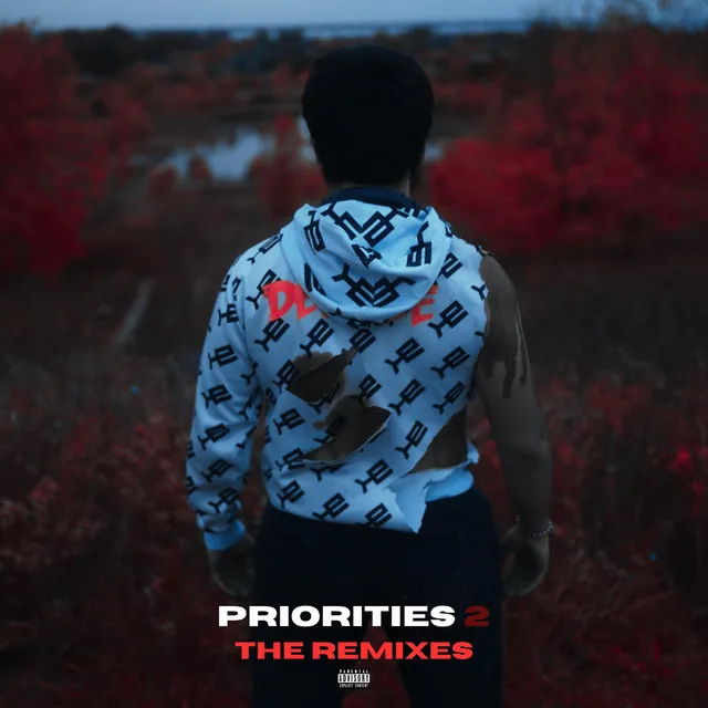 Priorities 2 Remix