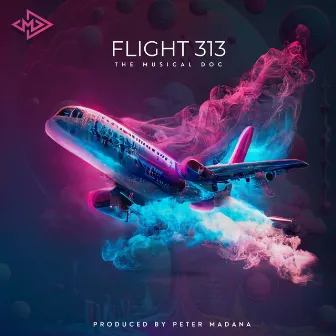 Flight 313 by Peter Madana