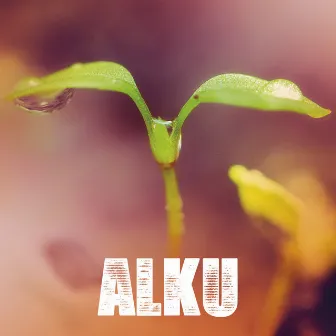 Alku by Alku