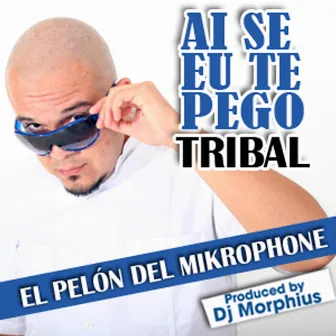 Ai Se Eu Te Pego by El Pelón del Mikrophone