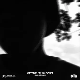 After The Fact by System the One