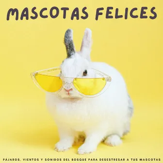 Mascotas Felices: Pájaros, Vientos Y Sonidos Del Bosque Para Desestresar A Tus Mascotas by Naturaleza y sonidos de pájaros