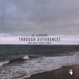 Through Differences by JC Laurent