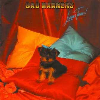 Loonee Tunes! by Bad Manners