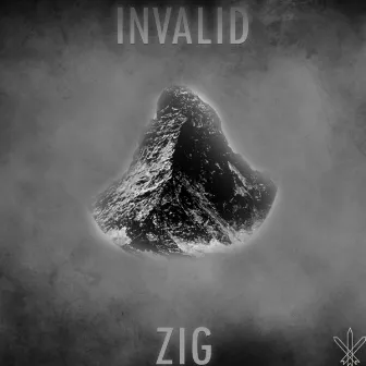 Invalid by Zig