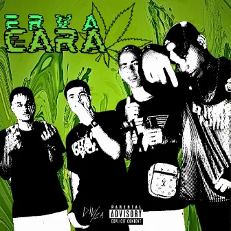 Erva Cara by D'senna