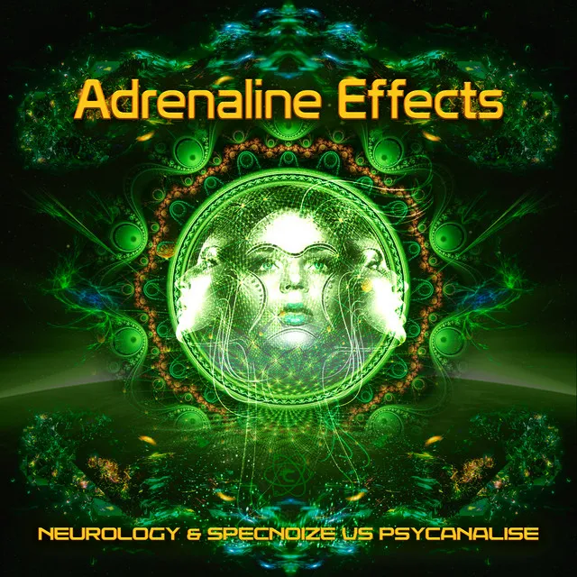 Adrenaline Effects