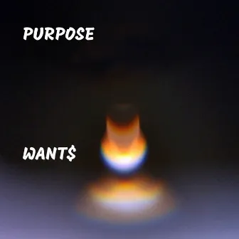 Want$ by Purpose