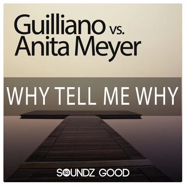 Why Tell Me Why - Re-Fuge Radio Edit