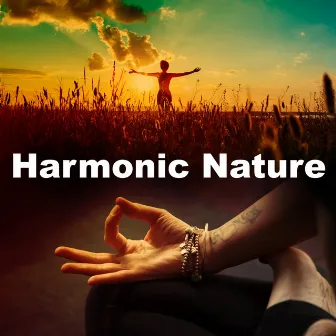 Harmonic Nature by NaturalSingingBowls