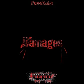 Damages by Promzywild