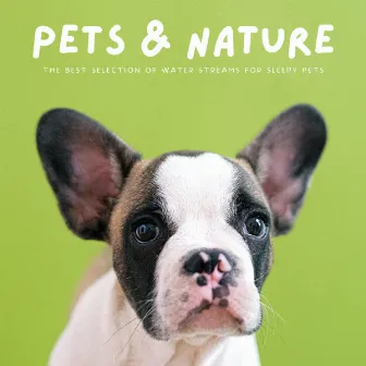 Pets & Nature: The Best Selection Of Water Streams For Sleepy Pets by Dog Music Bliss