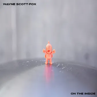 On the Inside by Wayne Scott-Fox