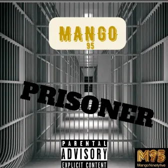 Prisoner by Mango 95