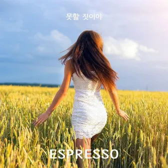 못할 짓이야 by Espresso