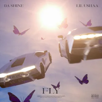 Fly by DaShinexLilUshaa