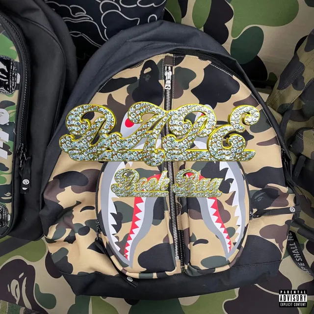 Bape Book Bag