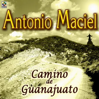 Camino de Guanajuato by Antonio Maciel