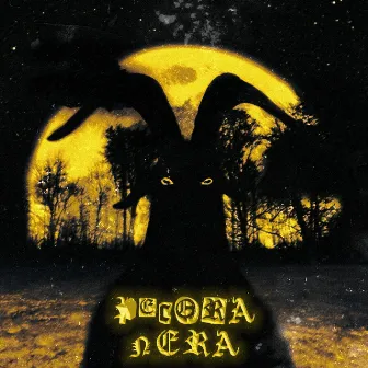 Pecora Nera by Sin De