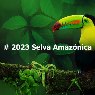 # 2023 Selva Amazónica by Ambiente Forestal