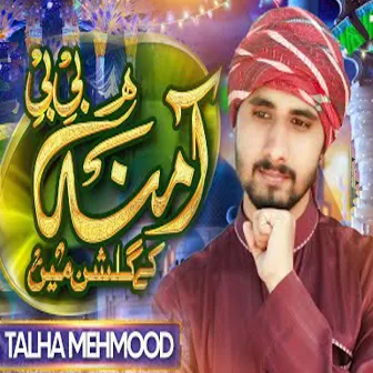 Amina Bibi Ke Gulshan Mein by Talha Mehmood