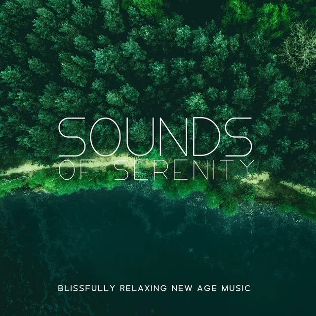 Sounds of Serenity - Blissfully Relaxing New Age Music with Nature Sounds for Morning & Evening Meditations, Anxiety Relief, Peace of Mind, Quiet Contemplation, Healing Power of Music