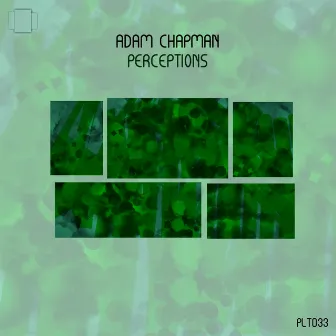 Perceptions by Adam Chapman