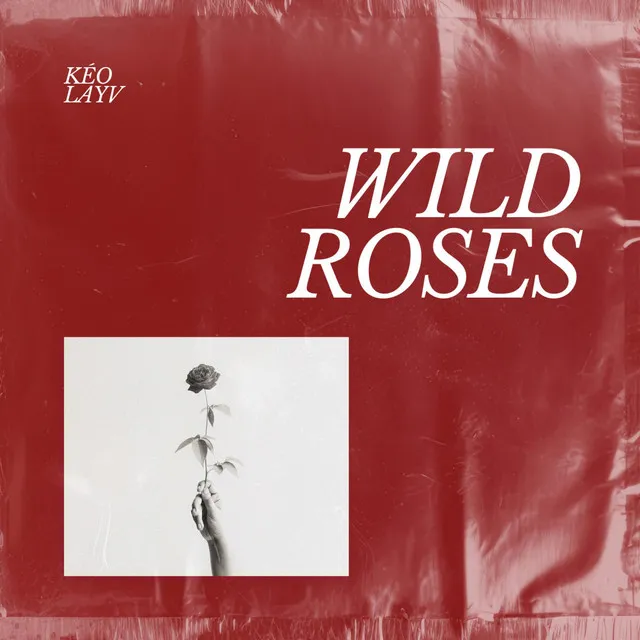 Wild Roses