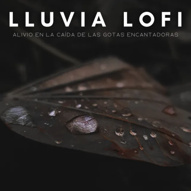 Lluvia Lofi: Alivio En La Caída De Las Gotas Encantadoras