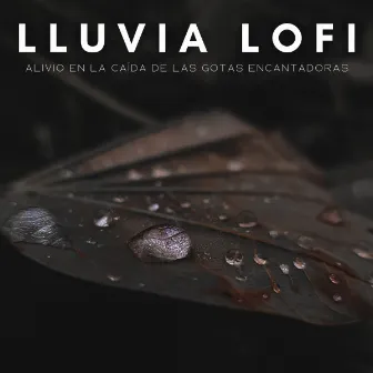 Lluvia Lofi: Alivio En La Caída De Las Gotas Encantadoras by Total Relax Lo Fi Música