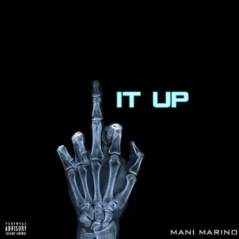 Fuck It Up by Mani Marino