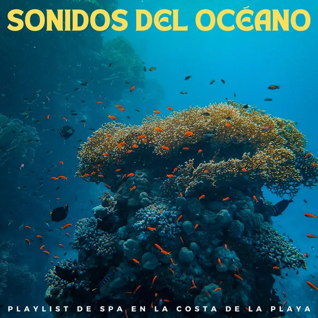 Sonidos Del Océano: Playlist De Spa En La Costa De La Playa