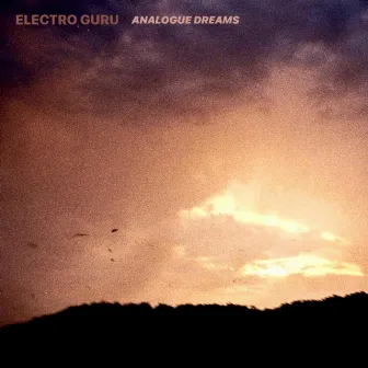 Analogue Dreams by Electro Guru