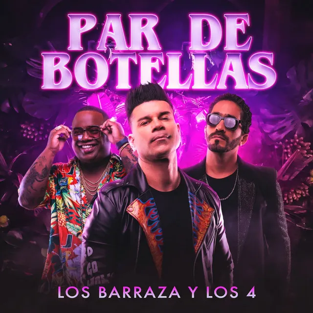 Par de Botellas