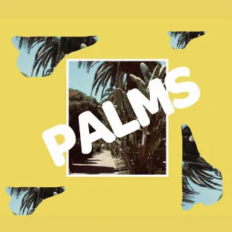 Palms by Robohands