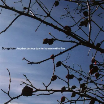 Another Perfect Day for Human Extinction by Songstore