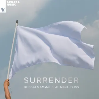 Surrender by Mark Johns