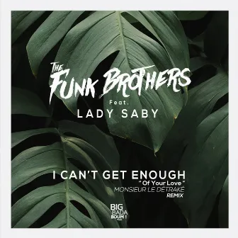 I Can't Get Enough Of Your Love (Monsieur Le Détraké Remix) by The Funk Brothers